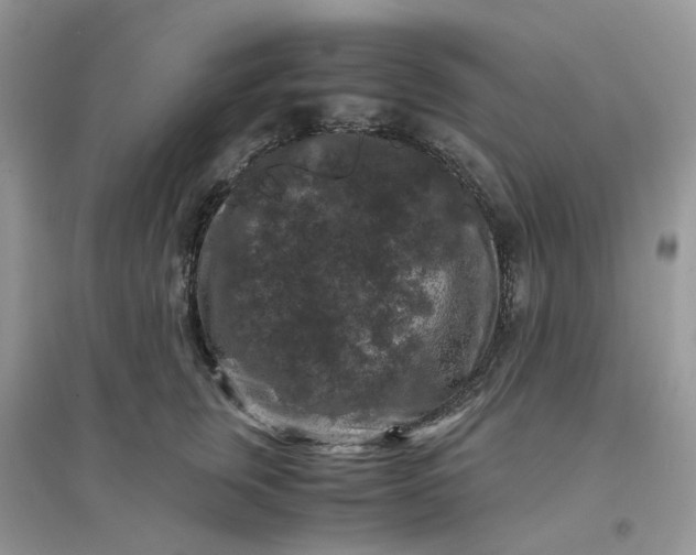 X0000096160759200802011255