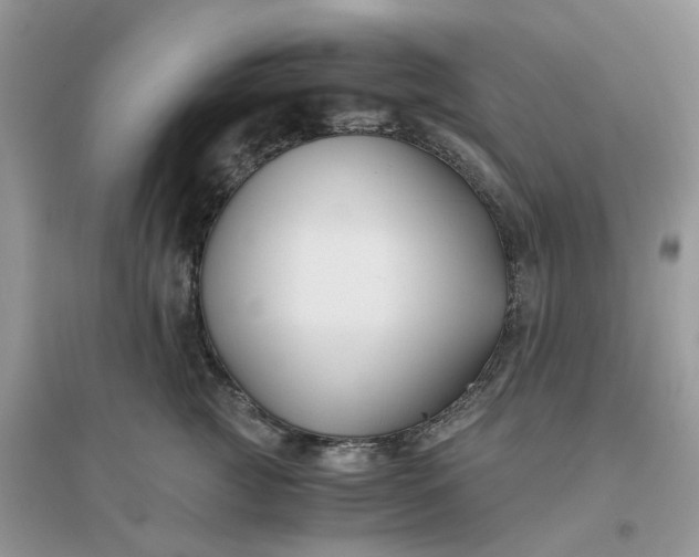 X0000096160761200802011255