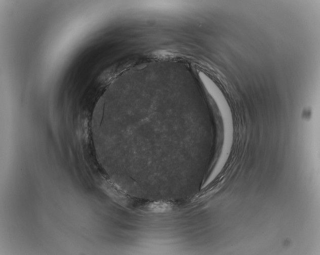 X0000096160762200802011255