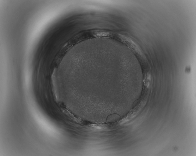 X0000096160763200802011255