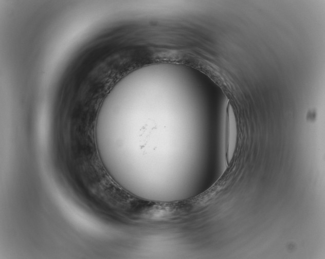 X0000096160764200802011255