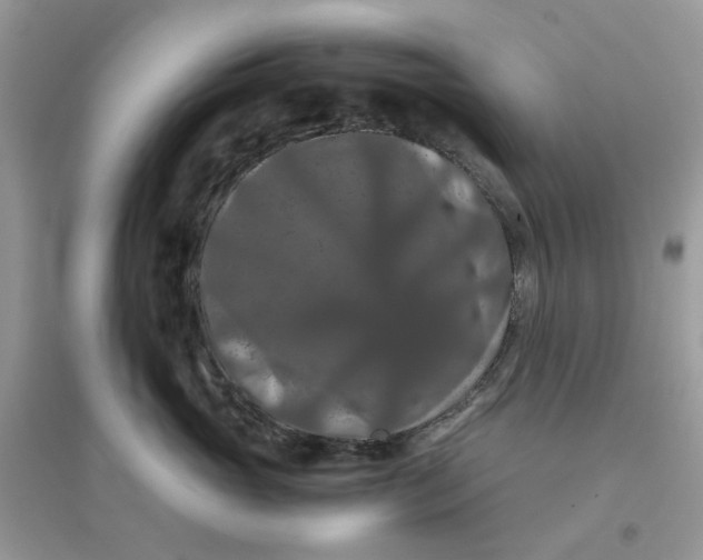 X0000096160765200802011255