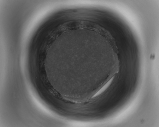 X0000096160766200802011256