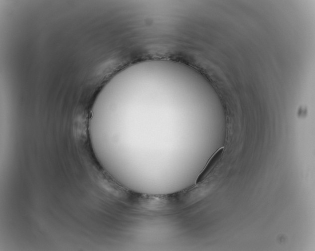 X0000096160768200802011256