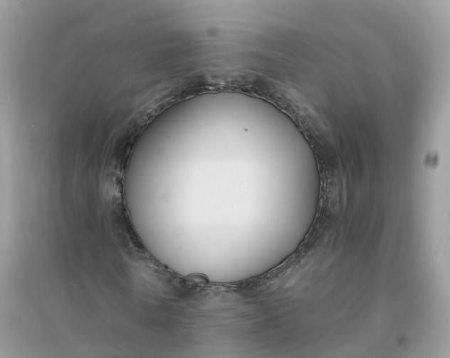 X0000096160770200802011255