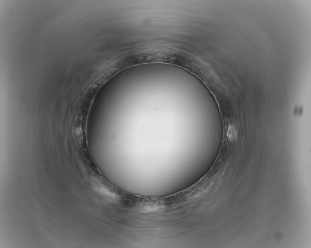 X0000096160771200802011255