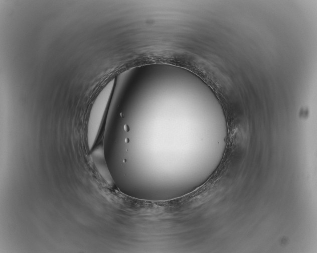 X0000096160772200802011255