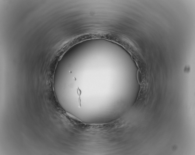 X0000096160773200802011255