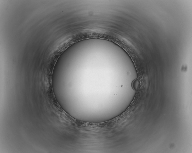 X0000096160774200802011255