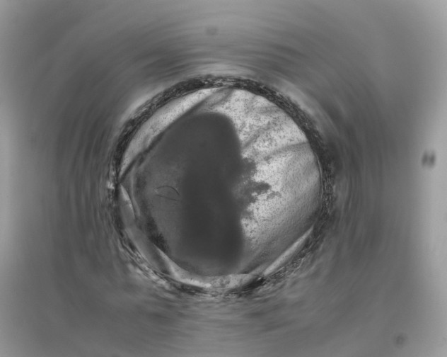 X0000096160775200802011255