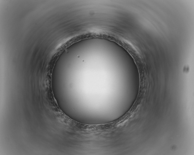 X0000096160776200802011255