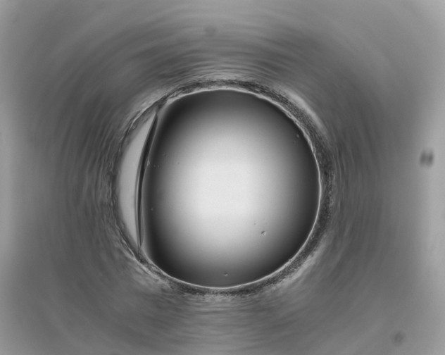 X0000096160777200802011255