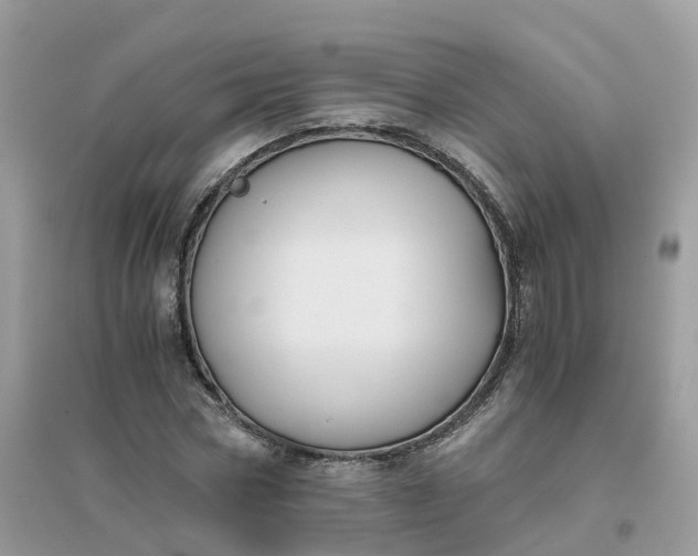 X0000096160778200802011255