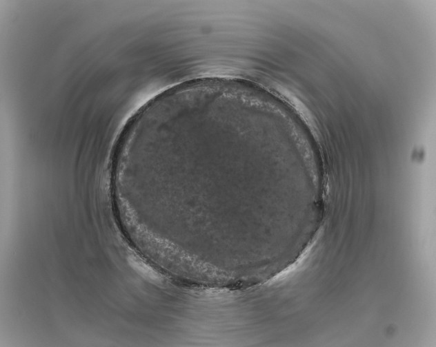 X0000096160779200802011255