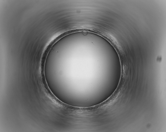 X0000096160780200802011255