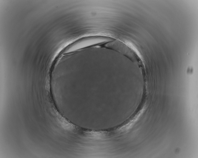 X0000096160781200802011255