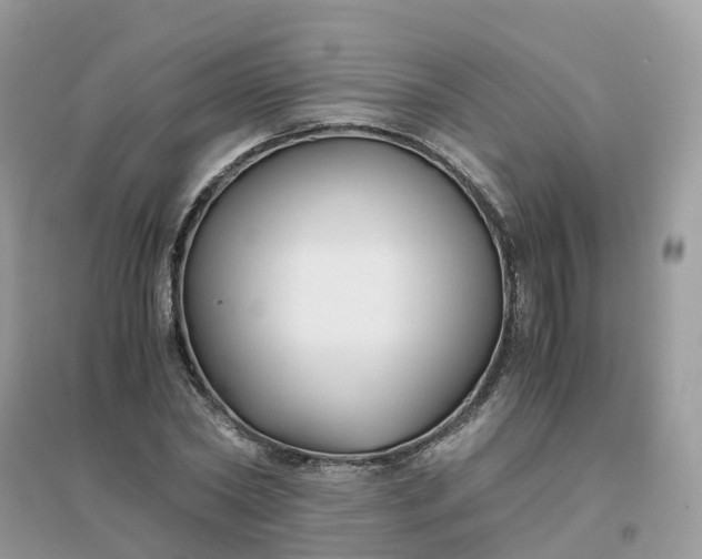 X0000096160782200802011255