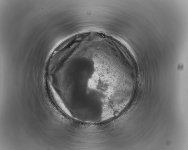 X0000096160783200802011255