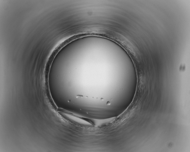 X0000096160784200802011254