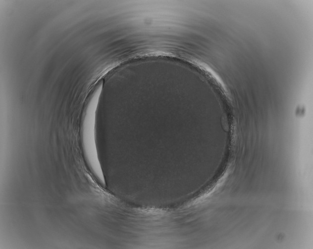 X0000096160785200802011254