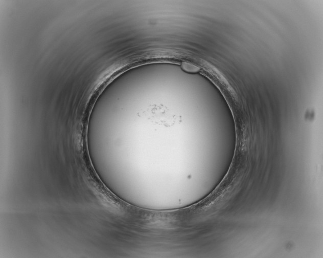 X0000096160786200802011254