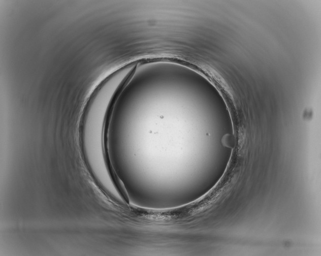 X0000096160789200802011254