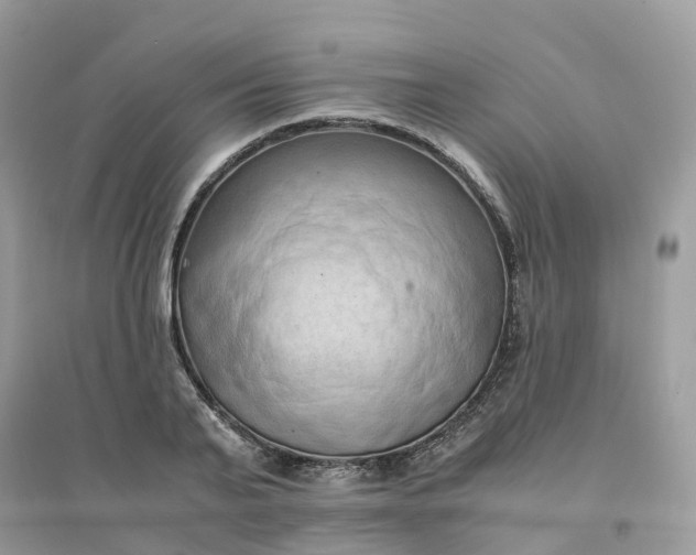 X0000096160791200802011254