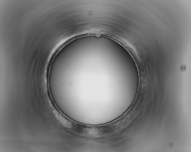 X0000096160792200802011254