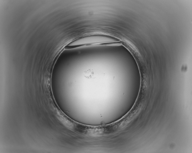 X0000096160793200802011254