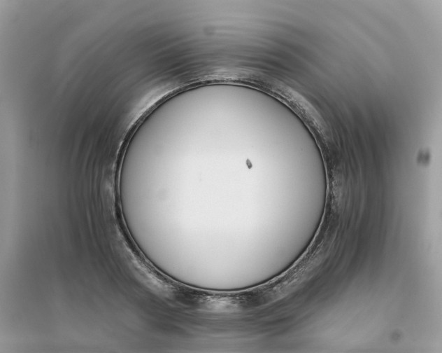 X0000096160794200802011254