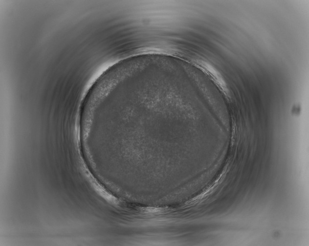 X0000096160796200802011254