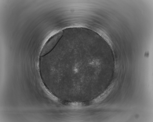 X0000096160797200802011254