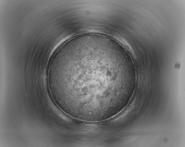 X0000096160798200802011254