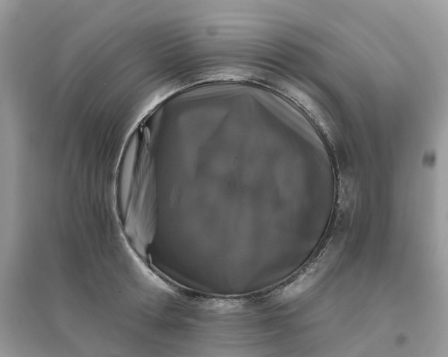 X0000096160802200802011254