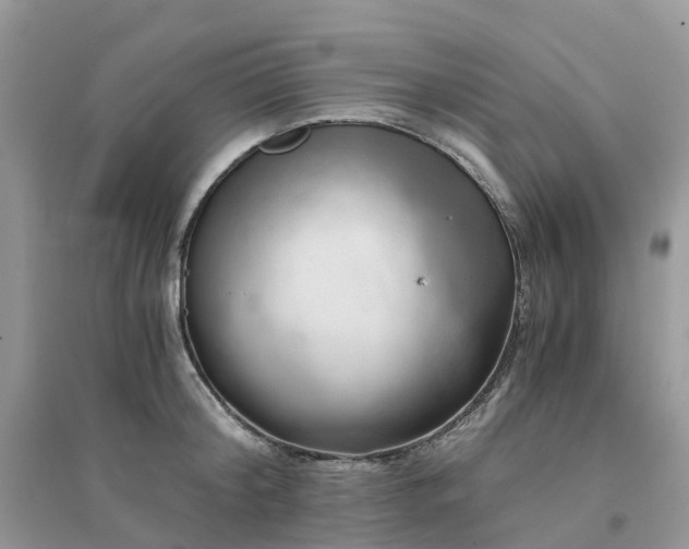 X0000096160804200802011254