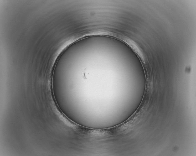 X0000096160805200802011254