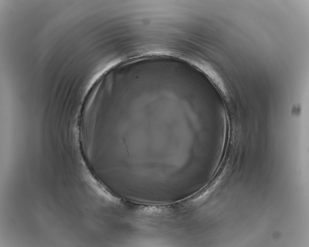 X0000096160806200802011254