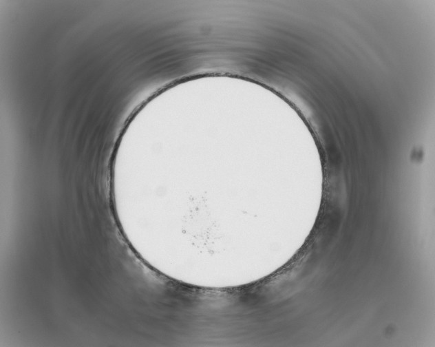 X0000096160807200802011254