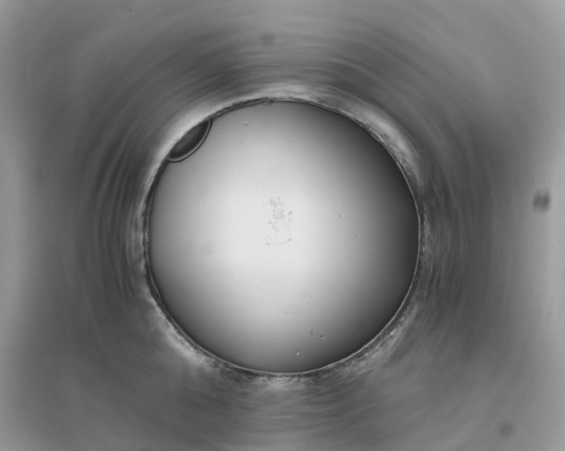 X0000096160808200802011254