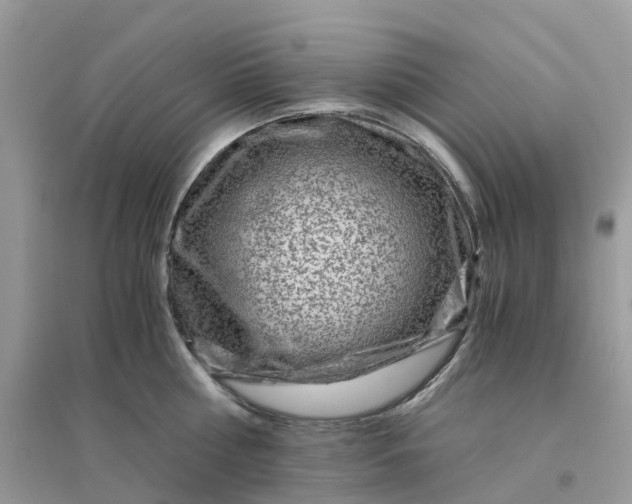 X0000096160810200802011254