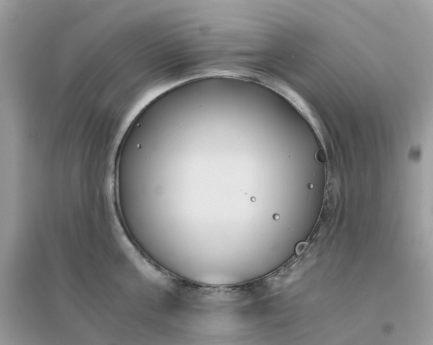 X0000096160811200802011254