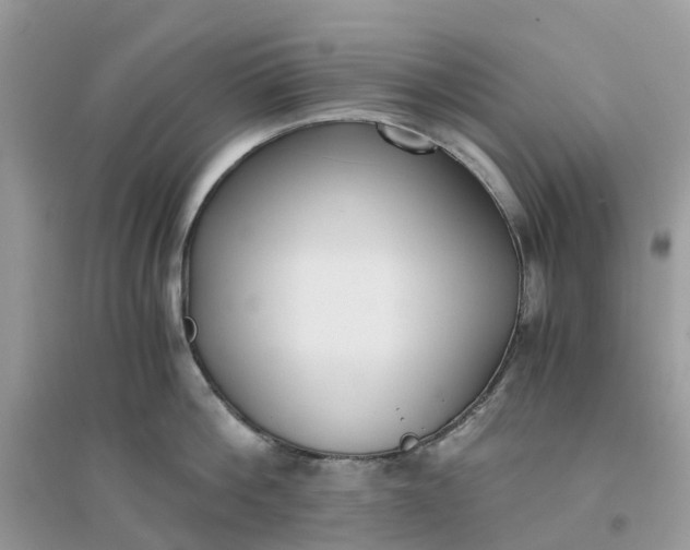 X0000096160812200802011254