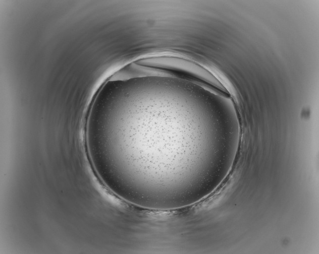 X0000096160813200802011254