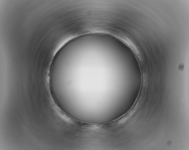 X0000096160814200802011254