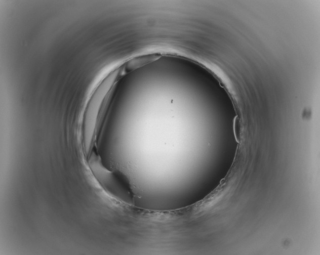 X0000096160815200802011254