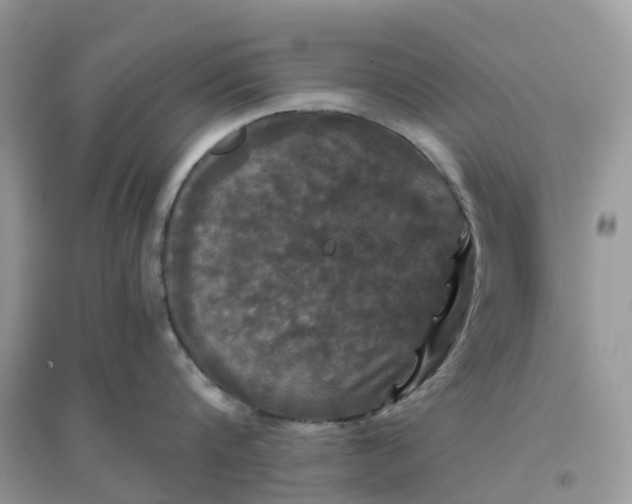 X0000096160816200802011254