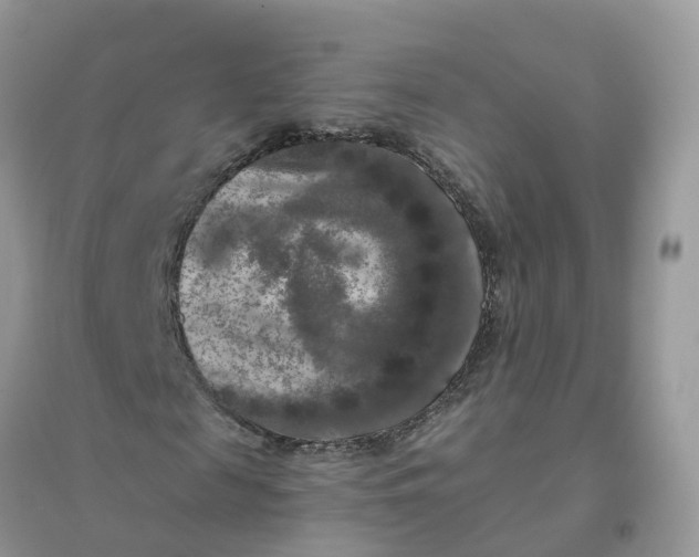 X0000096160817200802011253