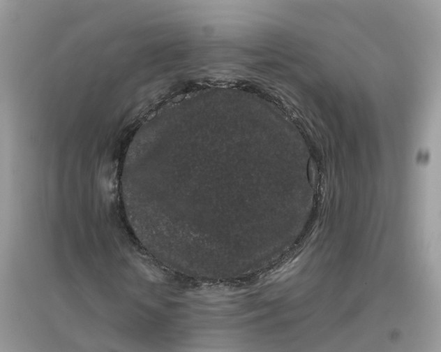 X0000096160818200802011253