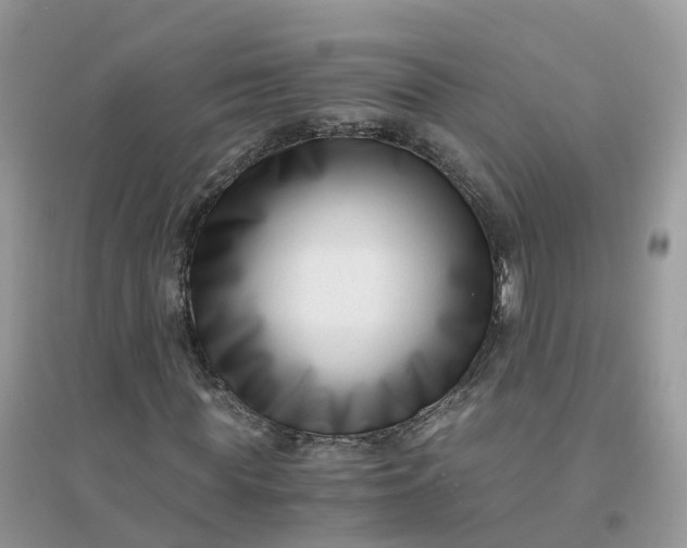 X0000096160819200802011253