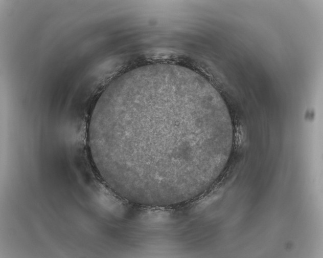 X0000096160820200802011253